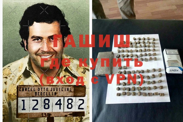 гидра Абаза