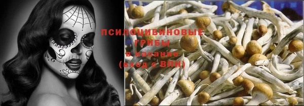 гидра Абаза
