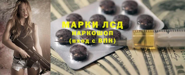 гидра Абаза
